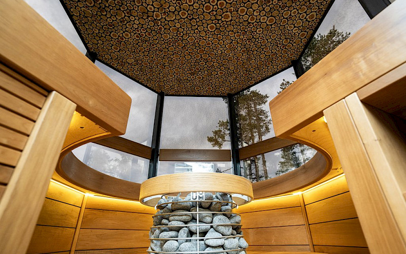 Arctic Giant Forest sauna & experience 2025