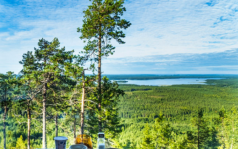 Answer the Call of Finland