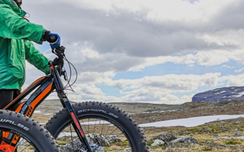 Lapland’s Summer