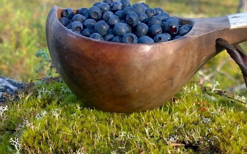 Kuksa & the Enchantment of Lapland’s Nature